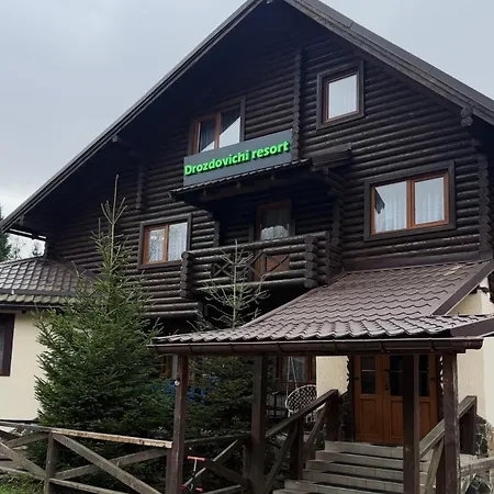 Drozdovichi *