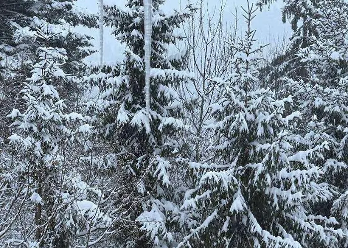 Drozdovichi