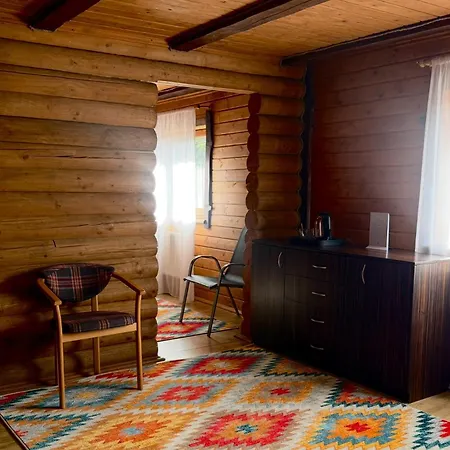 Drozdovichi 酒店 奥尔亚维奇克