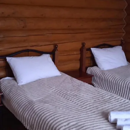 Drozdovichi 酒店 *