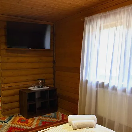 Drozdovichi 酒店 *